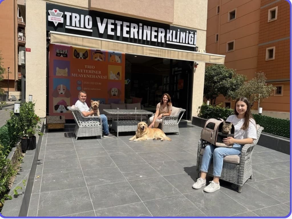 Kliniğin önündeki terasta kedi ve köpekleriyle oturan hasta sahipleri