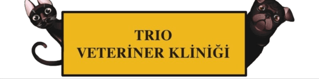 Trio Kadıköy Veteriner Kliniği logosu