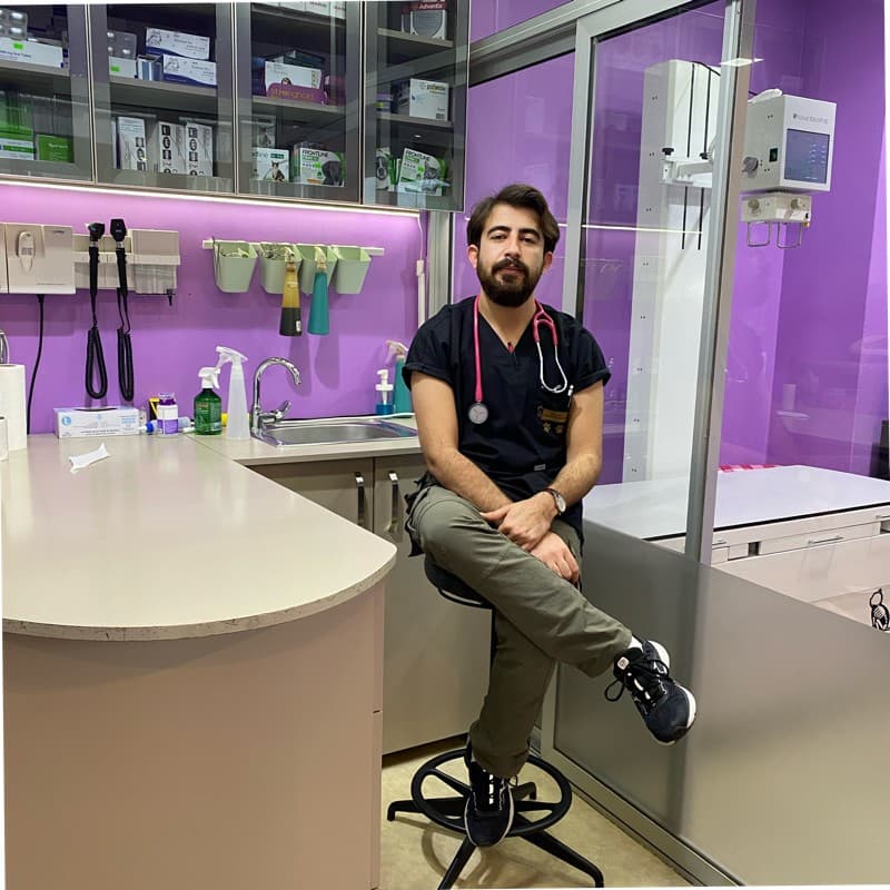 Veteriner Hekim Ferhat Kılıç, kliniğin muayene odasında